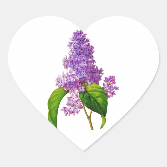 Adesivo Coração Redoute Lilacs (Frente)