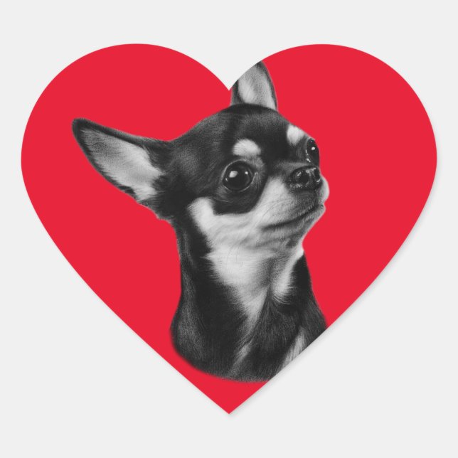 Adesivo Coração Retrato chihuahua pintado à mão (Frente)