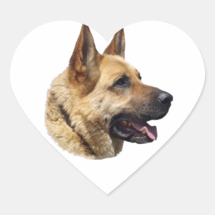 Adesivo Coração Retrato do German shepherd alsaciano