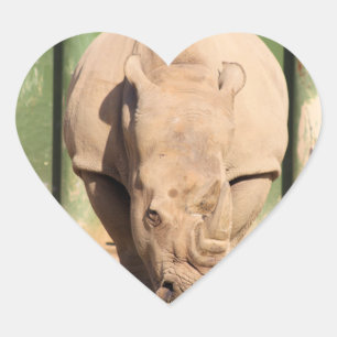 Adesivo Coração Rhino Branco