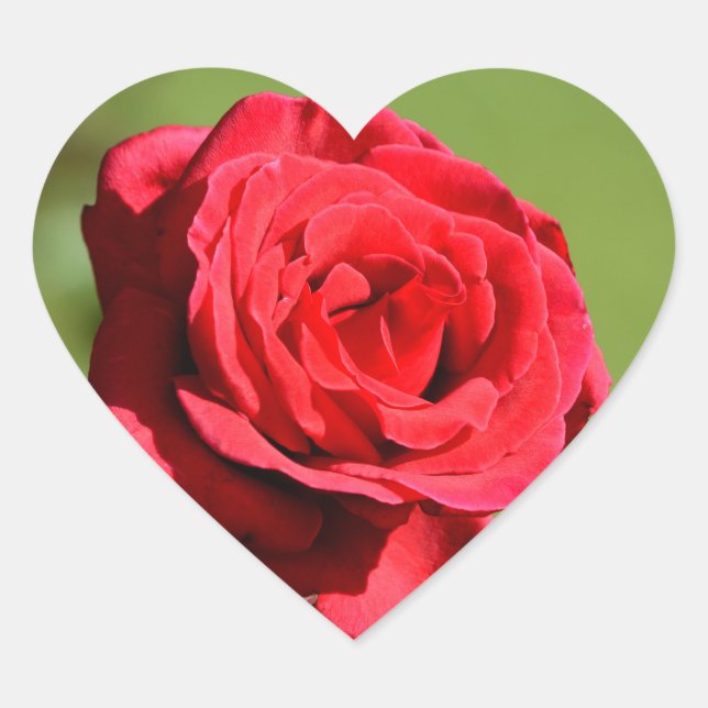 Adesivo Coração Rosa (Frente)