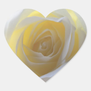 Adesivo Coração Rosa branco elegante