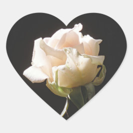 Adesivo Coração Rosa de cor creme sobre fundo escuro