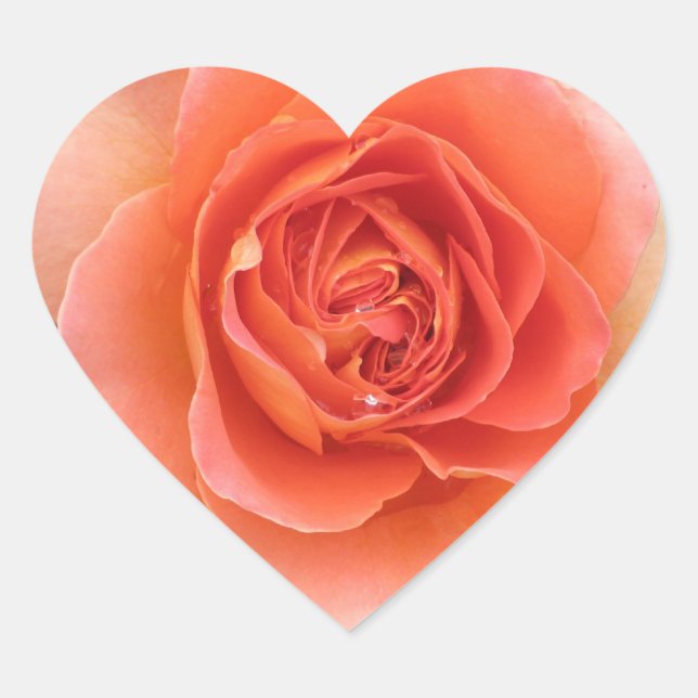 Adesivo Coração Rosa de Coral (Frente)