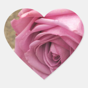 Adesivo Coração Rosa do rosa