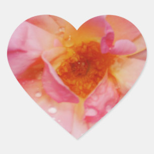 Adesivo Coração Rosa Rosa Rosa Rosa Cor-de-Rosa com Guias Negras