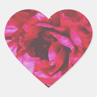 Adesivo Coração Rosa Rosy Stickers