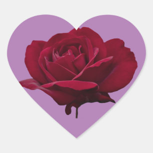 Adesivo Coração Rosa vermelha com um autocolante