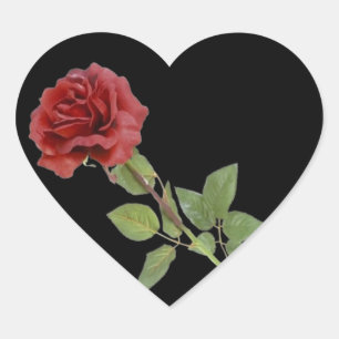 Adesivo Coração Rosa vermelha no preto