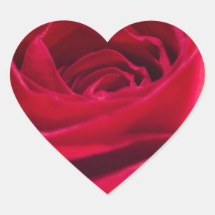 Adesivo Coração Rosa vermelha solteiro