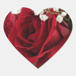 Adesivo Coração Rosa vermelha vermelha - coração dado forma