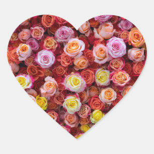 Adesivo Coração Rosas Florais de Cores Mistas Vibrantes