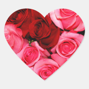 Adesivo Coração Rosas, rosa e vermelho