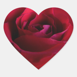Adesivo Coração Rosas vermelhas Autocolantes Românticos Presentes 