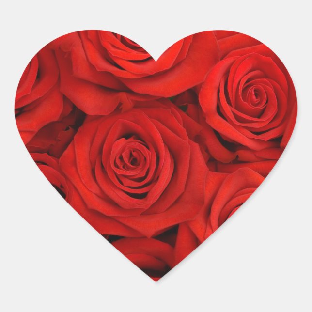 Adesivo Coração Rosas vermelhas-palhetas (Frente)