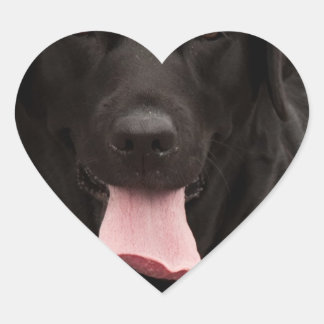 Adesivo Coração Rosto de cachorro preto