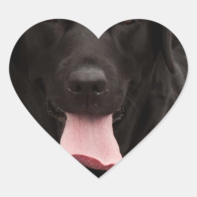 Adesivo Coração Rosto de cachorro preto (Frente)
