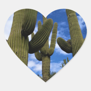 Adesivo Coração Saguaro Cactus Trio / Céu Azul / Selos de Envelop
