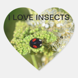 Adesivo Coração Schwarzer Marienkäfer