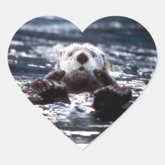 Adesivo Coração Sea Otter Natação