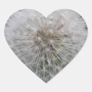 Adesivo Coração Sedação de Flores de Dandelion