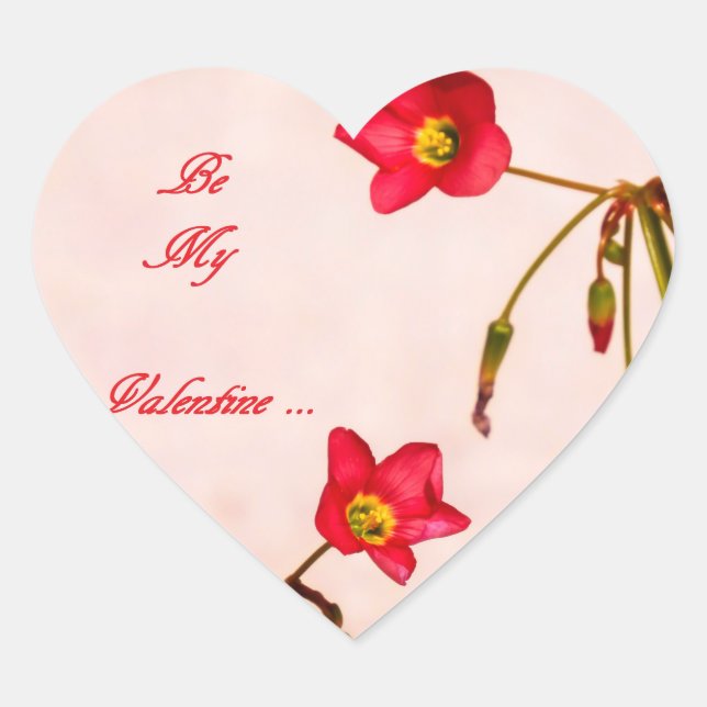 Adesivo Coração Seja meu Namorados (Frente)