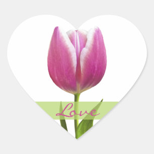 Adesivo Coração Selo de Envelope de Coração de Amor Rosa