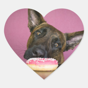 Adesivo Coração Shepherd versus Dutch donut