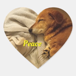 Adesivo Coração Smiling Dog Heart Sticker