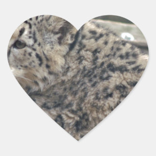 Adesivo Coração Snow Lepard