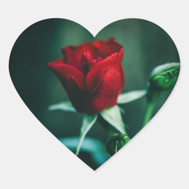 Adesivo Coração solteiro vermelho (Frente)