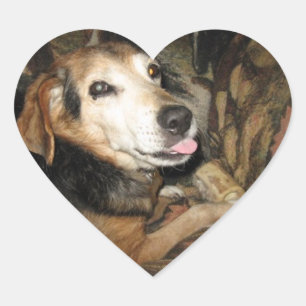 Adesivo Coração Sparky