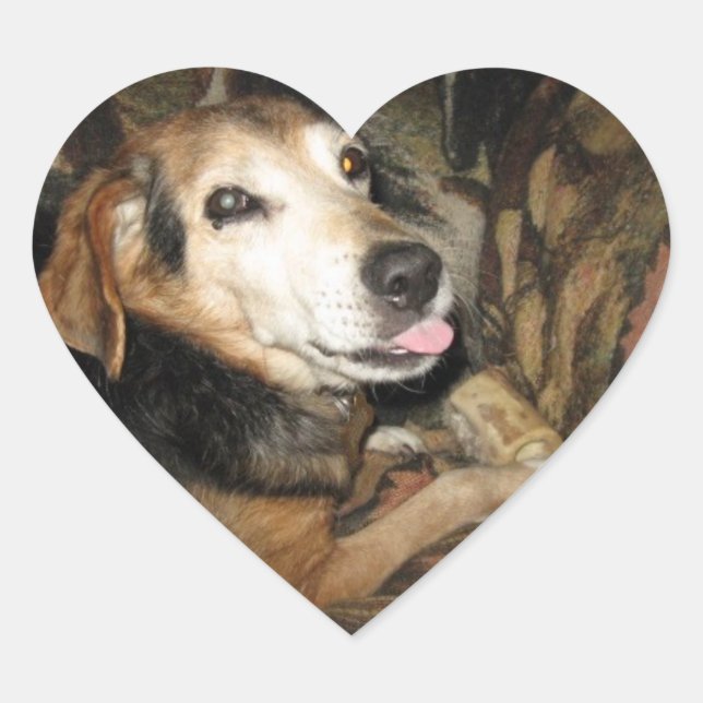 Adesivo Coração Sparky (Frente)