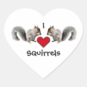 Adesivo Coração Squirrel Love