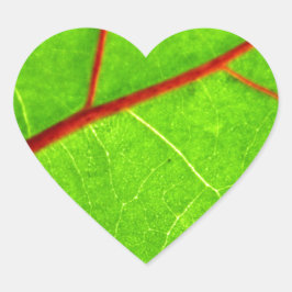 Adesivo Coração St Thomas 1