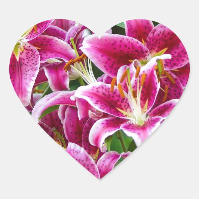 Adesivo Coração Stargazer Lily (Frente)