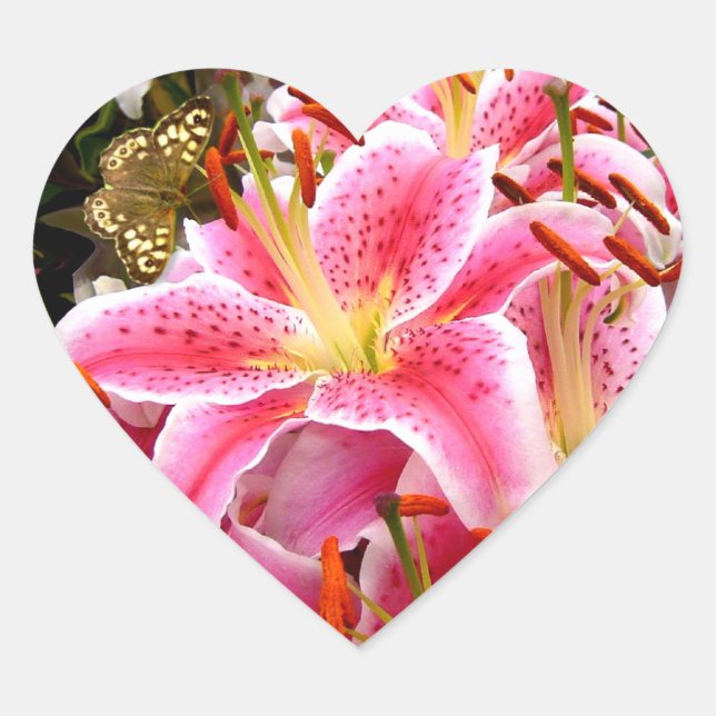 Adesivo Coração "Stargazer" Lily Heart Sticker (Frente)