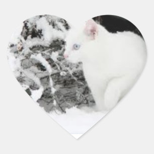Adesivo Coração Sticer do amor da tempestade de neve