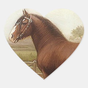 Adesivo Coração Sticker Antique Bay Clydesdale Draft Horse Parade