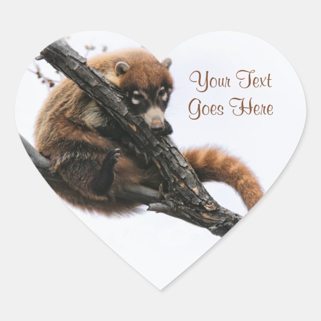 Adesivo Coração Sticker: Coatimundi #5 (Coração) (Frente)