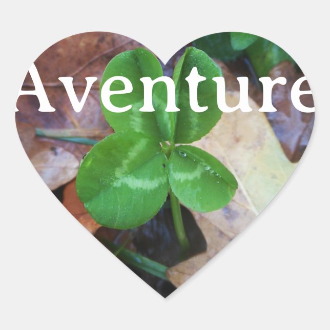 Adesivo Coração Sticker porte-bonheur (Frente)