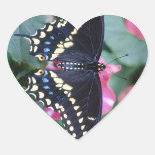 Adesivo Coração Swallowtail preto