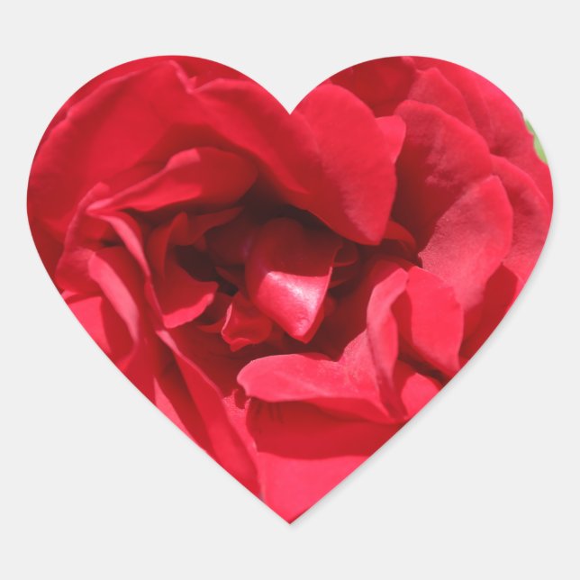 Adesivo Coração Trabalho Bardou de rosa vermelha Escura (Frente)