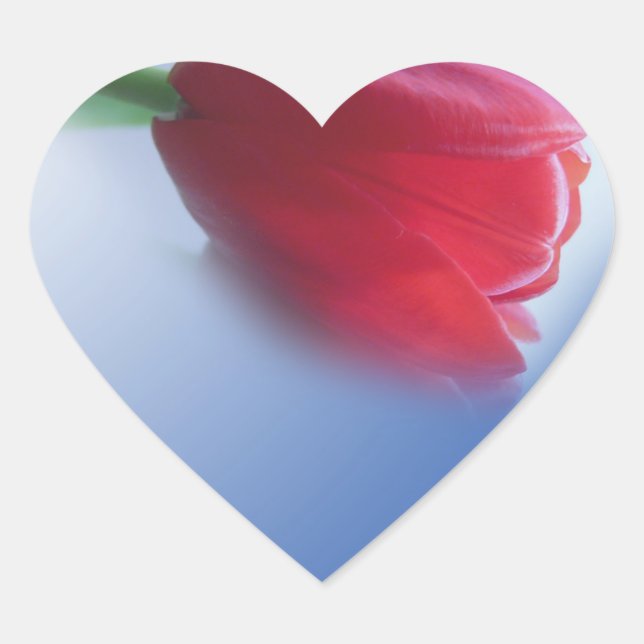 Adesivo Coração tulipa vermelha solteiro (Frente)