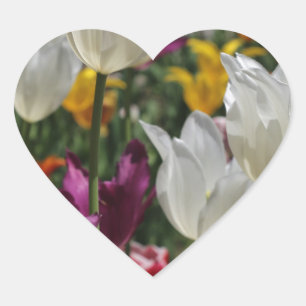 Adesivo Coração Tulipas