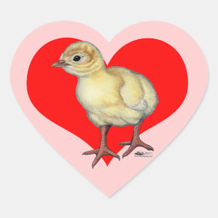 Adesivo Coração Turca Poult Heart