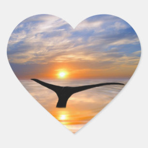 Adesivo Coração Uma baleia rabeia no pôr do sol
