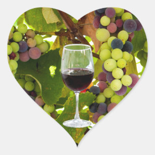 Adesivo Coração Uvas Roxas a Crescer na Vinha com Vinho