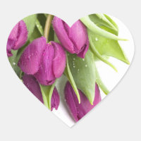 VESTÍGIOS DE SEAL DE ENVELOPE DE TULPOS PUROS