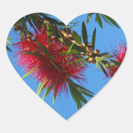 Adesivo Coração Vinheta-cardíaca de escova vermelha